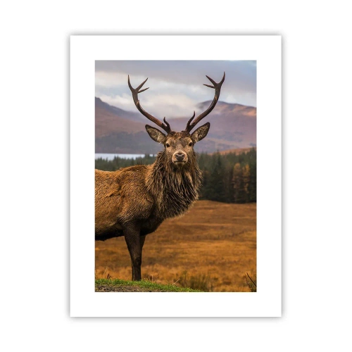 Affisch - Naturens majestät - 30x40 cm