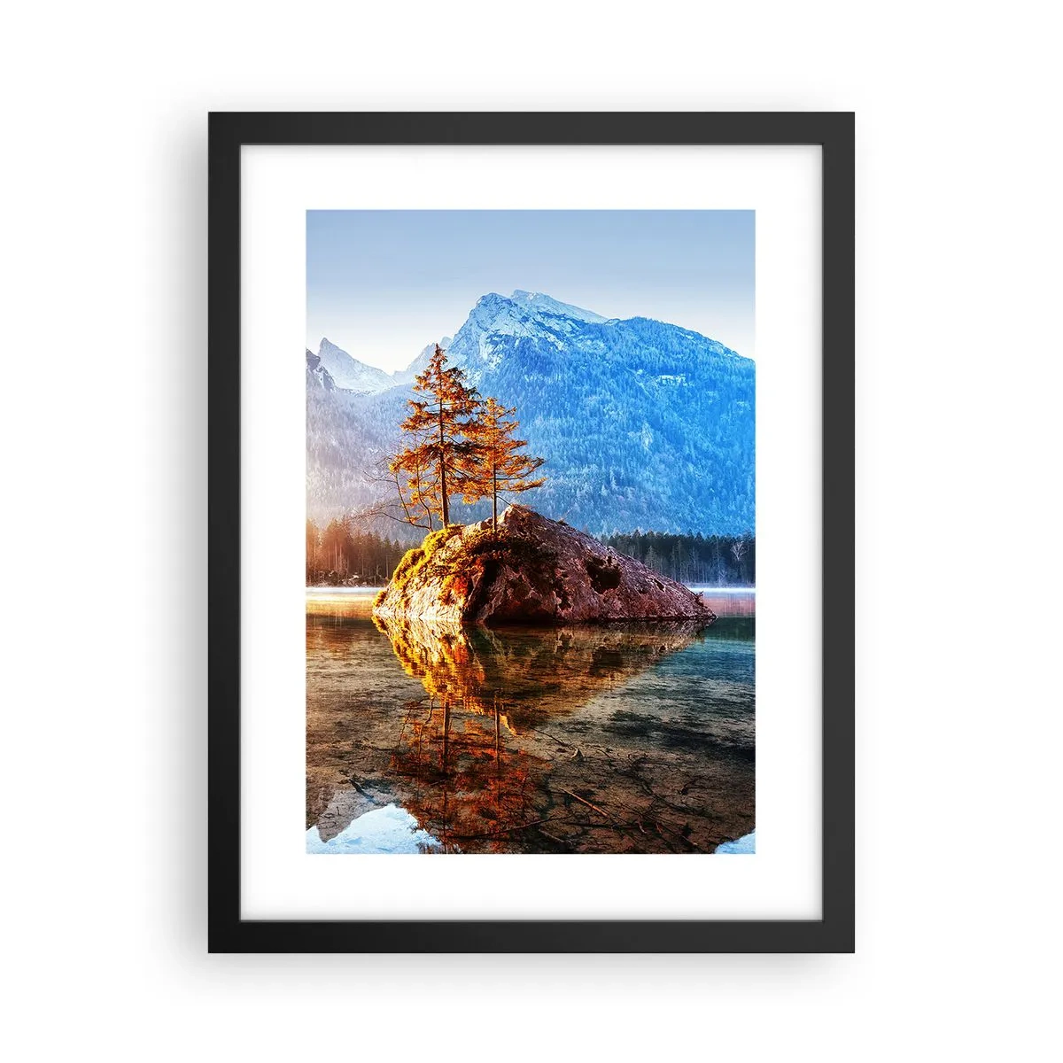 Affisch i svart ram - Naturen i ett nytt ljus - 30x40 cm