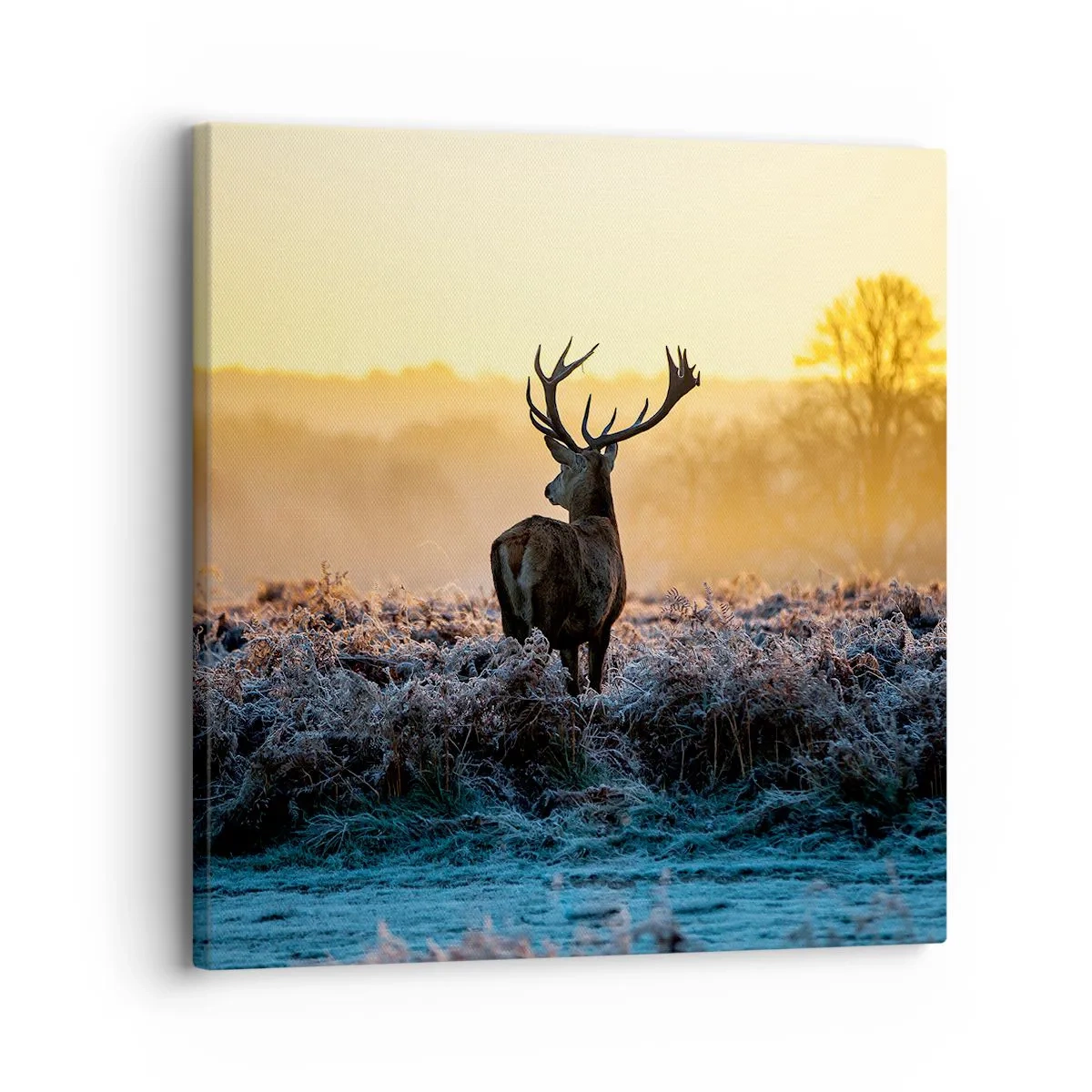 Canvastavla - Bild på duk - Krönt på sin mark - 30x30 cm