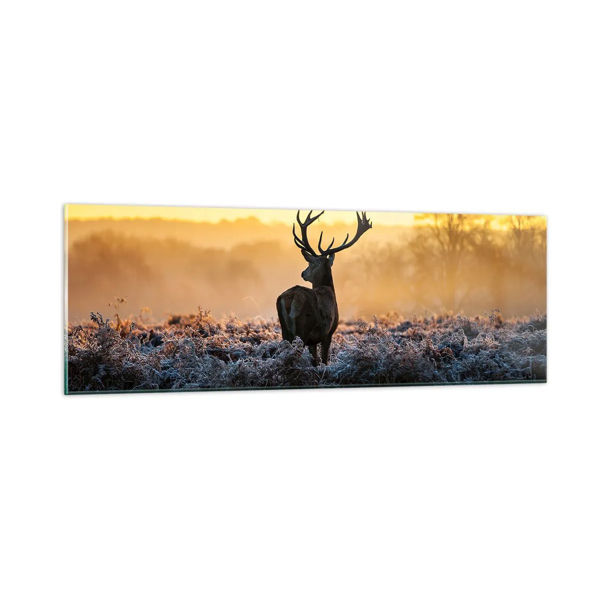 Glastavla - Bild på glas - Krönt på sin mark - 90x30 cm
