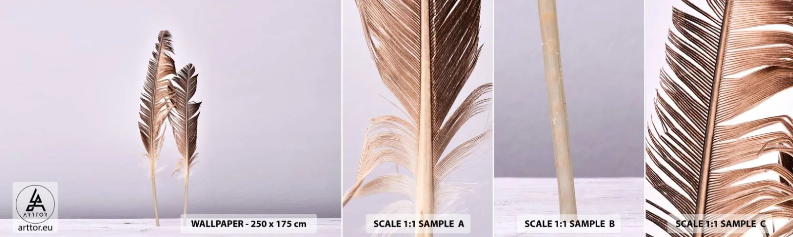 Fototapet Prov Standard Eco - Mot intet - Fågel fjäder, Bit, Grafik - 100x30 cm