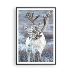 Affisch i svart ram - Porträtt i solsken - 70x100 cm