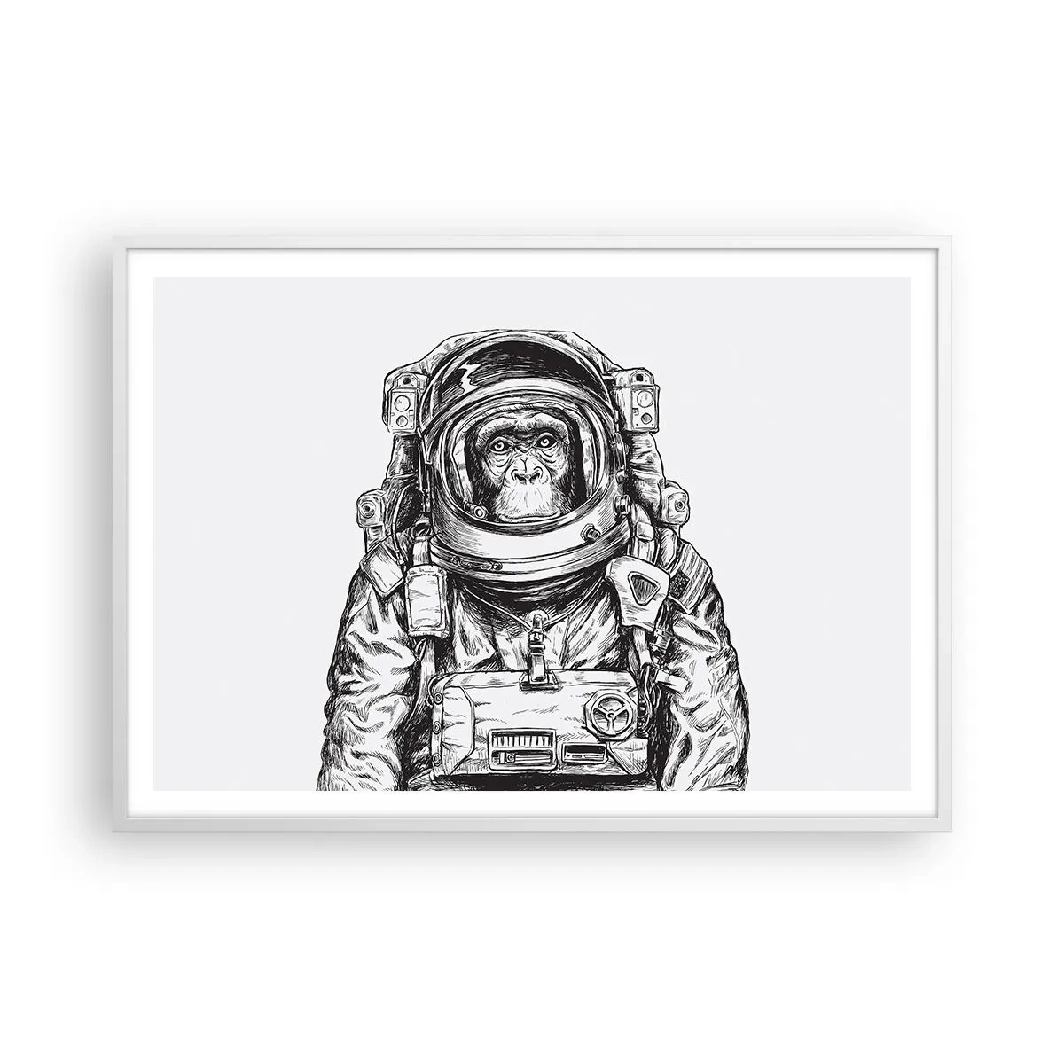 Affisch i vit ram - Alternativ evolution - 100x70 cm