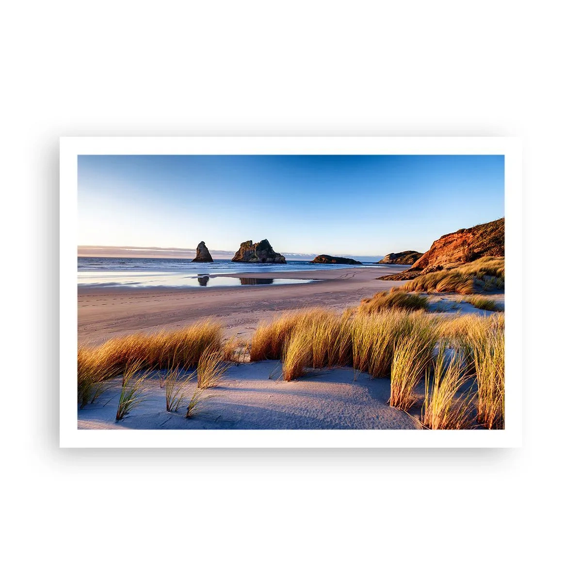 Affisch - För fredssökare - 91x61 cm