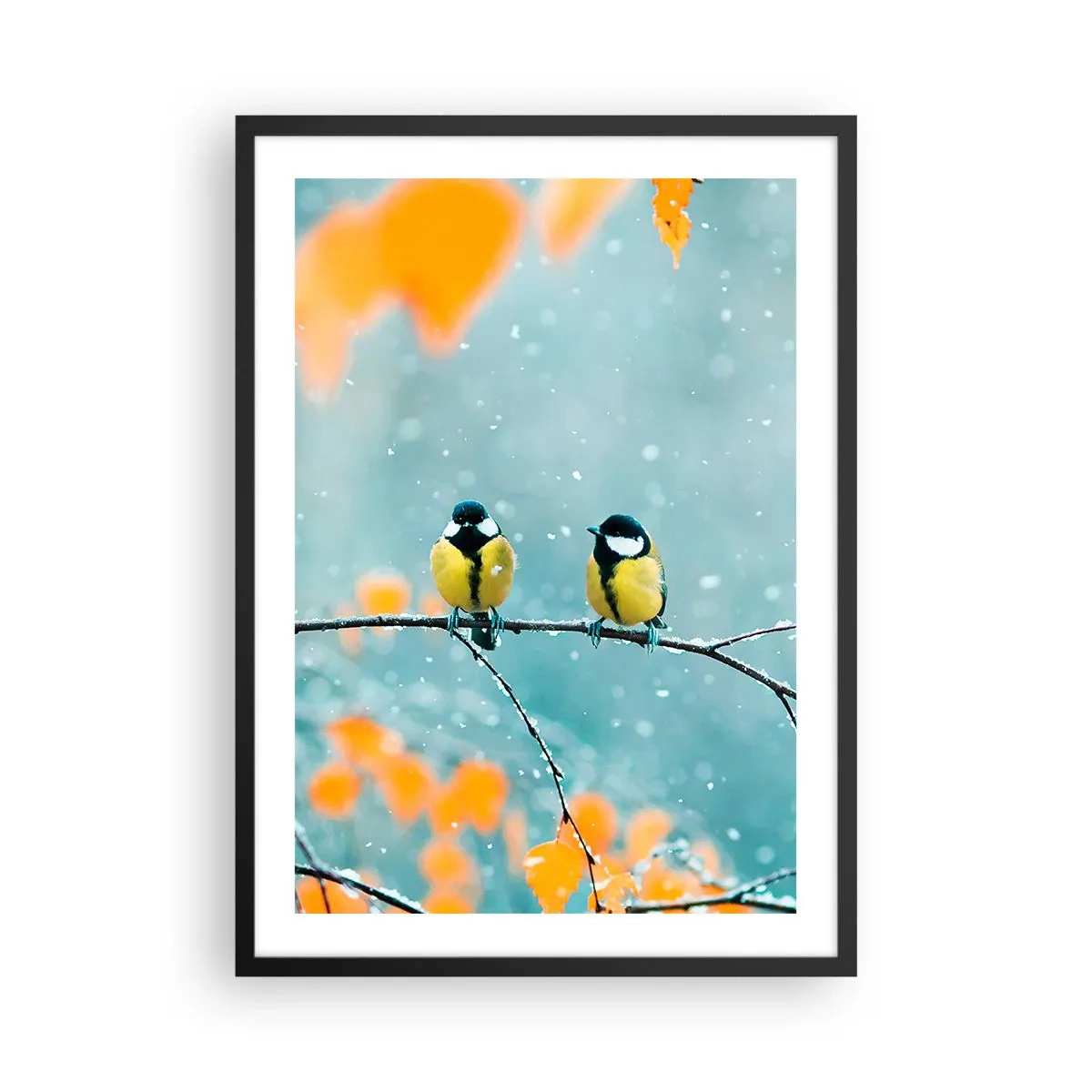 Affisch i svart ram - Två bröst som sitter på en gren i ett vinterlandskap - 50x70cm - Fåglarnas skvaller - Modern väggdekoration för vardagsrum och sovrum ARTTOR