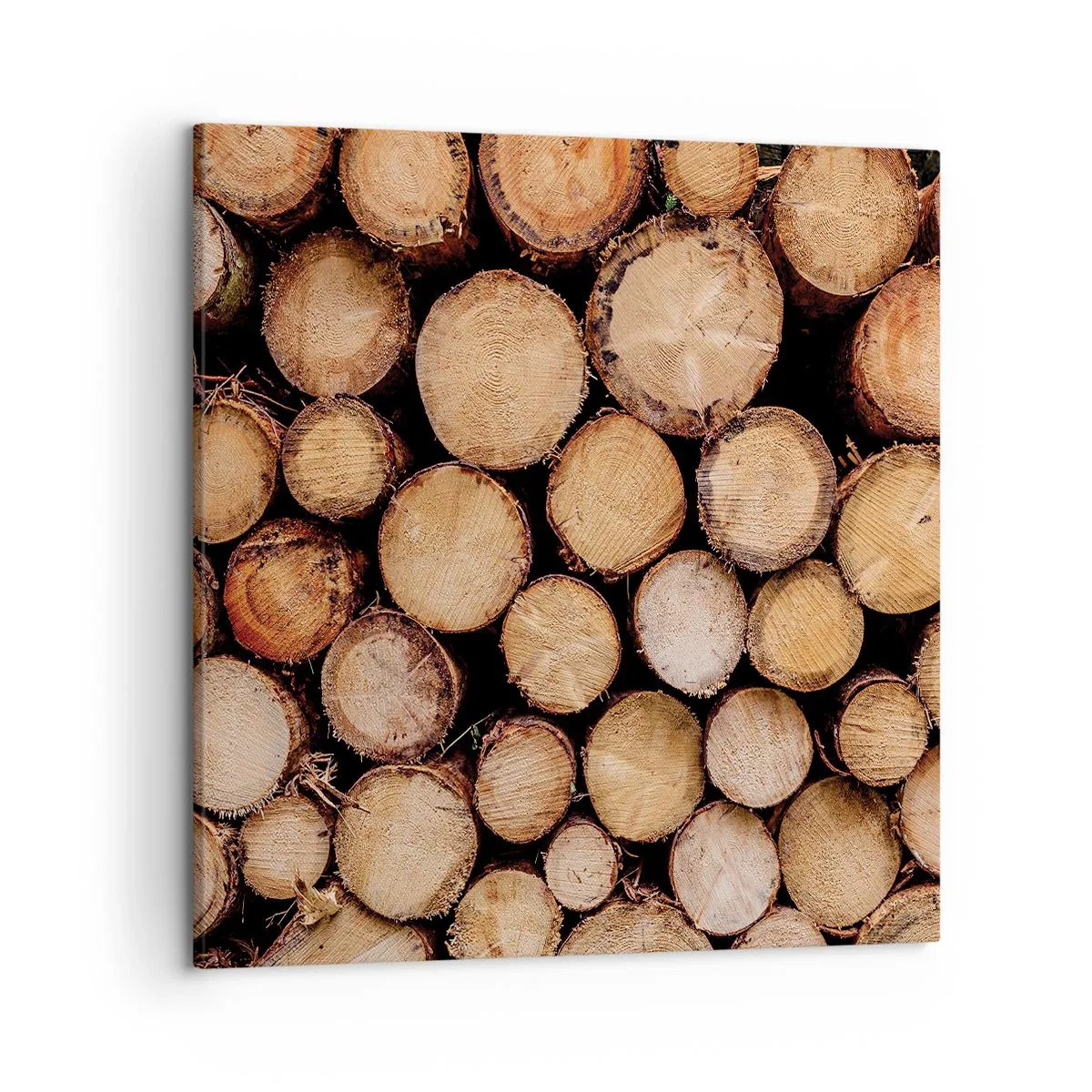 Canvastavla - Bild på duk - Ny början - 50x50 cm