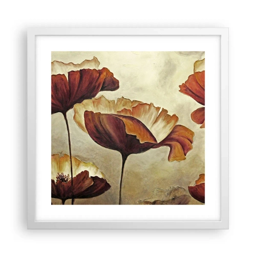 Affisch i vit ram - Ängsblommor - 40x40 cm