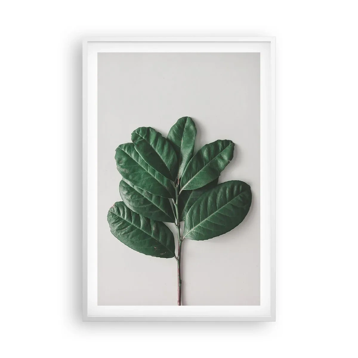 Affisch i vit ram - Själva naturens bild - 61x91 cm