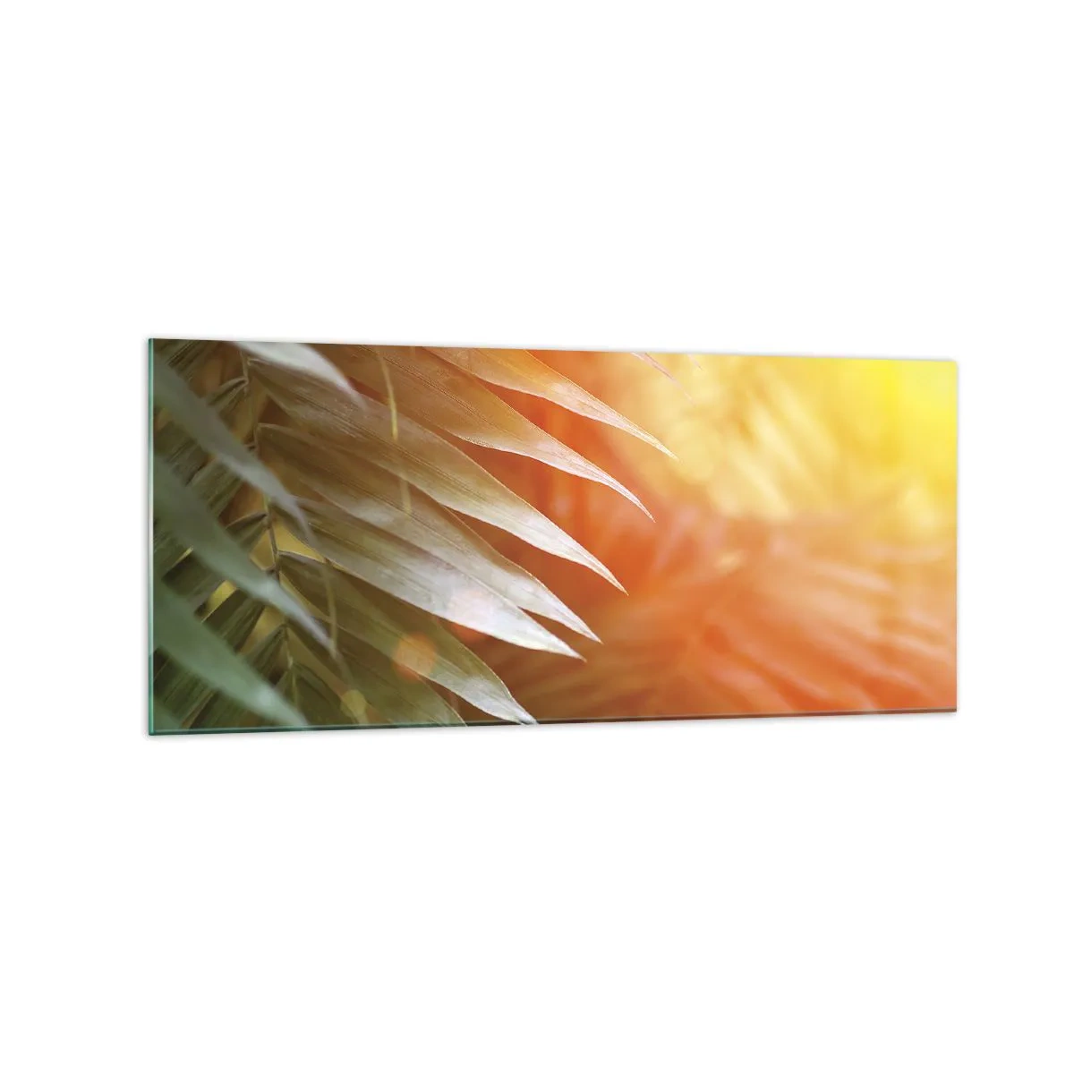 Glastavla - Bild på glas - En morgon i djungeln - 120x50 cm