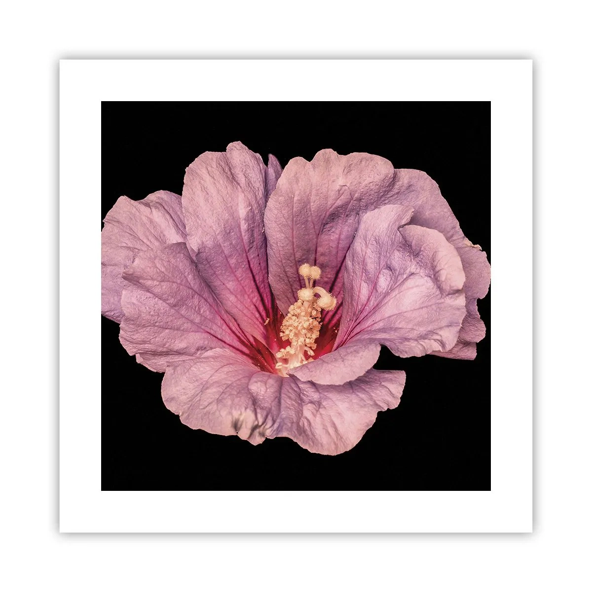 Affisch - Rakt till hjärtat - 40x40 cm