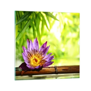 Glastavla - Bild på glas - I asiatisk sol - 70x70 cm