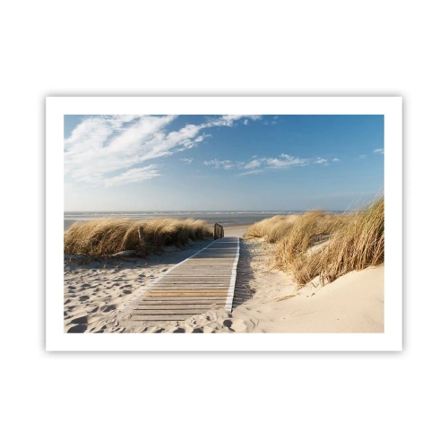 Affisch - Bortom sanddynan, i gräsets brus - 70x50 cm