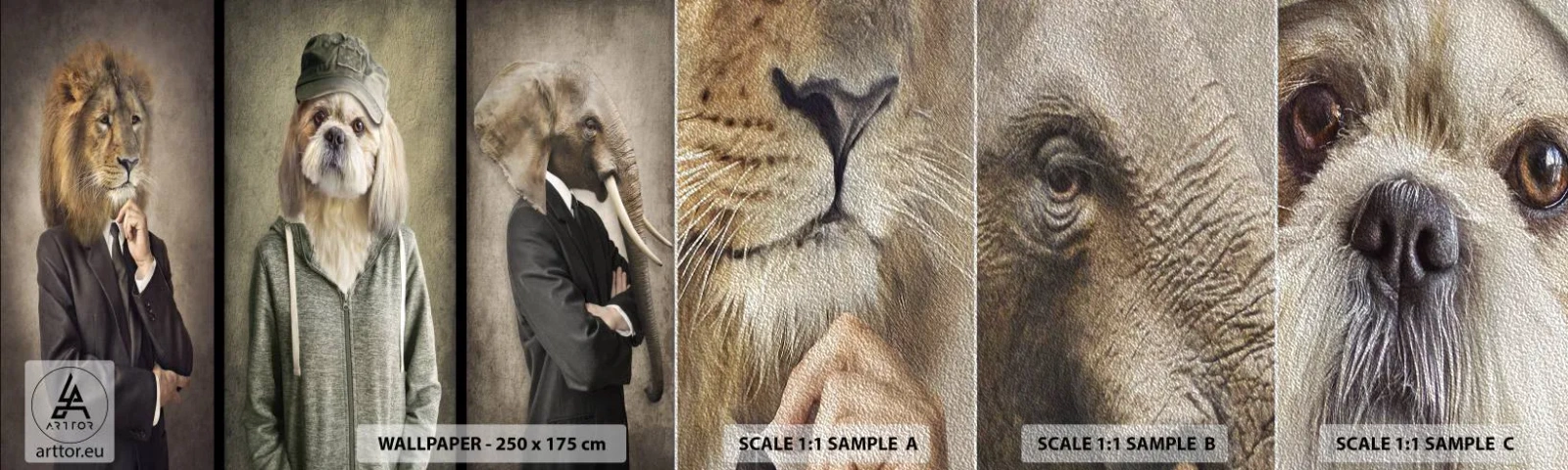 Provbit av fototapet Premium Sand - Jag föredrar avslappnad stil - Abstraktion, Lejon, Hund - 100x30 cm