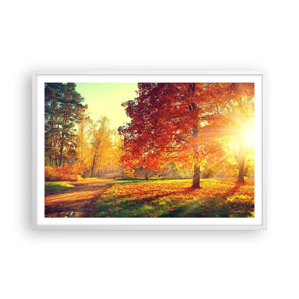 Affisch i vit ram - Rött är vackert - 91x61 cm