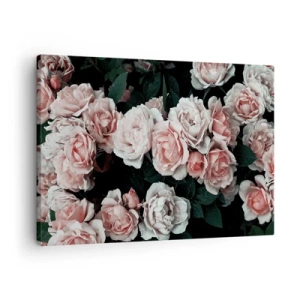 Canvastavla - Bild på duk - Rosa rosor på en mörk bakgrund i en subtil komposition - 70x50cm - Rosansamble - Modern väggdekoration för vardagsrum och sovrum ARTTOR