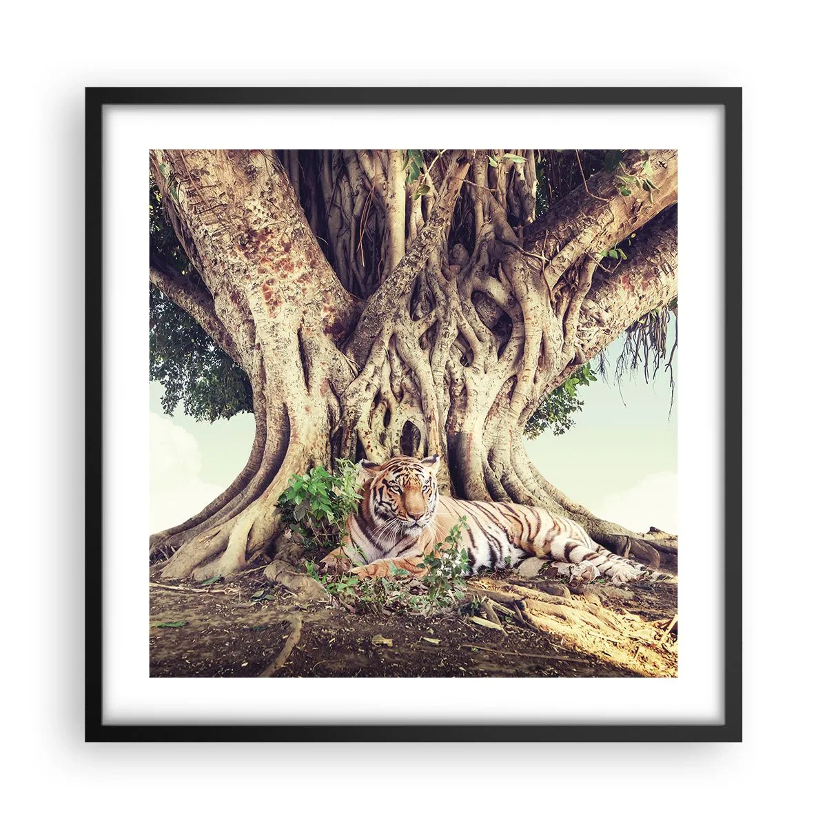 Affisch i svart ram - Vi från Första Moseboken - 50x50 cm