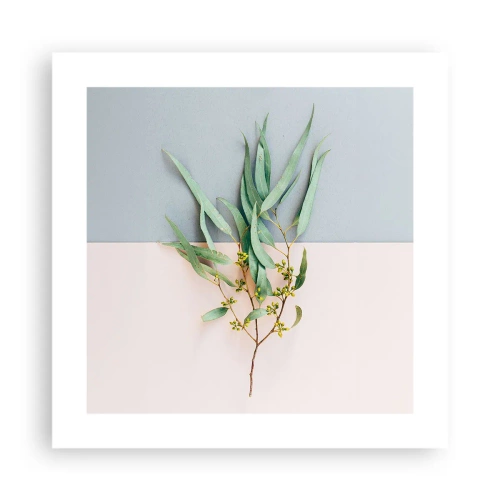 Affisch - Pastellens subtilitet - 40x40 cm