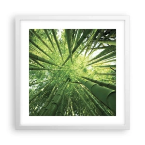 Affisch i vit ram - I en bambushage - 40x40 cm