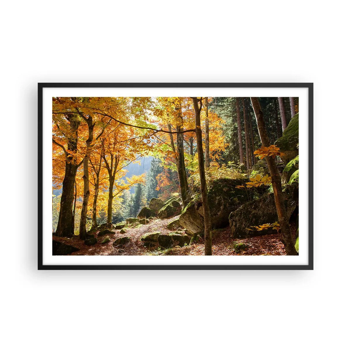 Affisch i svart ram - Dags att vila - 91x61 cm