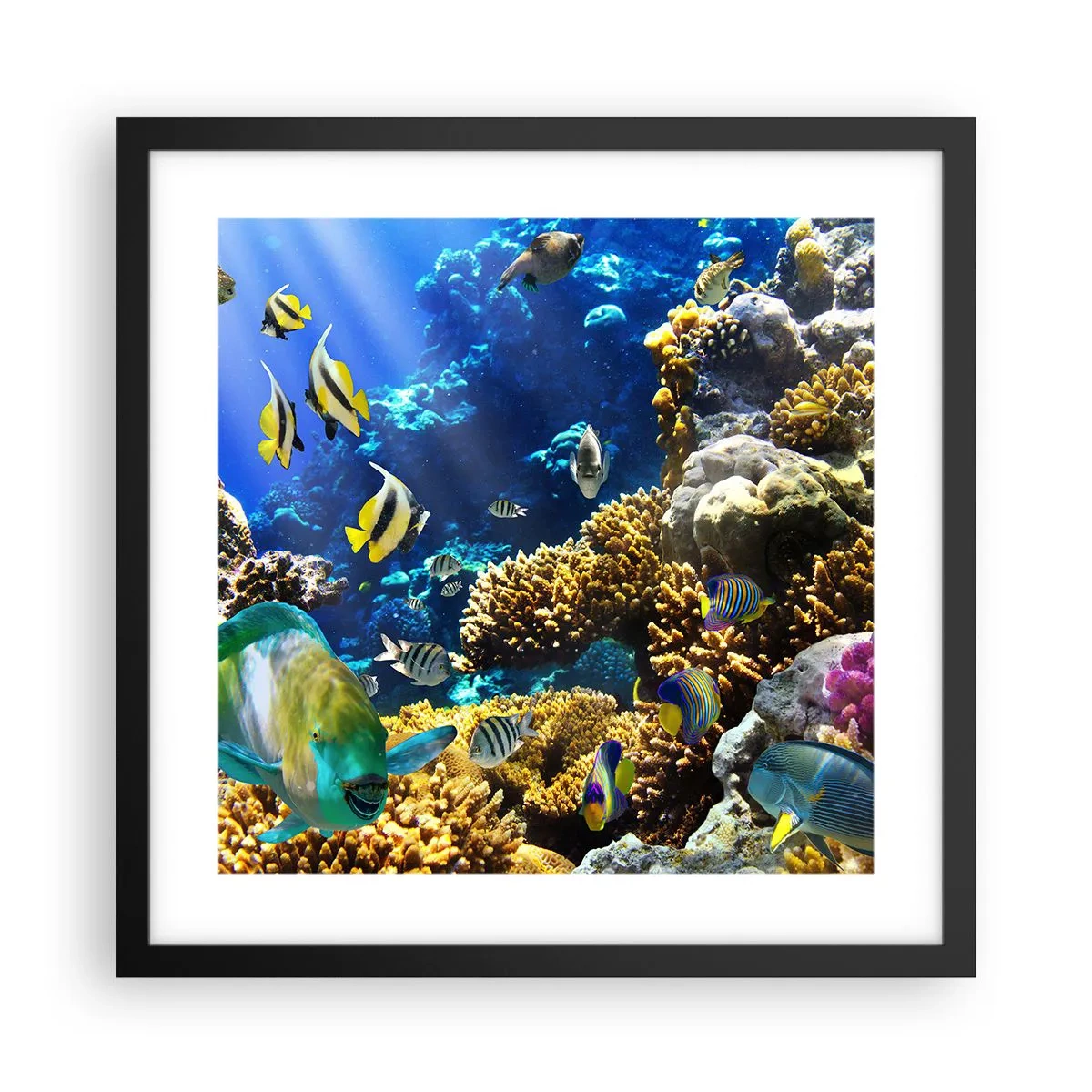 Affisch i svart ram - Hög trafik på sommarleden - 40x40 cm