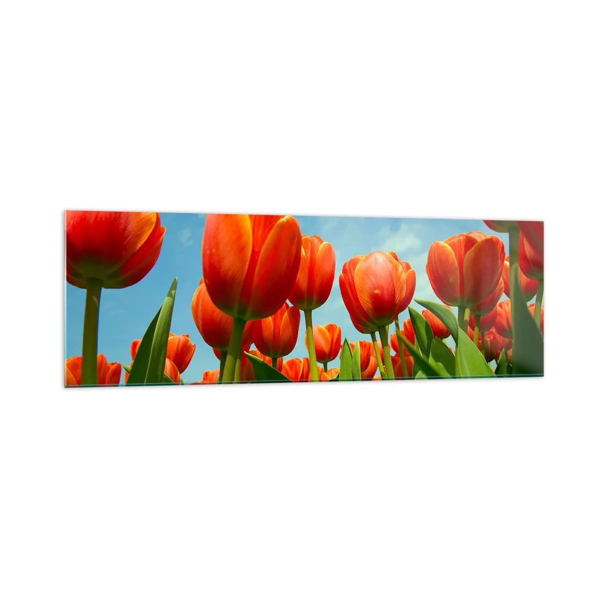 Glastavla - Bild på glas - Förutom blå himmel behöver vi inget annat i livet - 160x50 cm