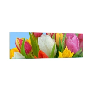 Glastavla - Bild på glas - blommig regnbåge i daggdroppar - 160x50 cm