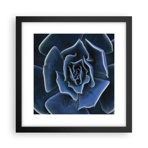 Affisch i svart ram - Öknens blomma - 30x30 cm
