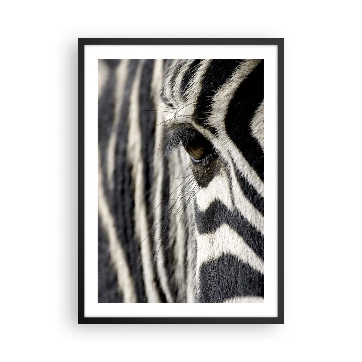 Affisch i svart ram - En närbild av en zebras öga med dess distinkta mönster. - 50x70cm - Randig porträtt - Modern väggdekoration för vardagsrum och sovrum ARTTOR