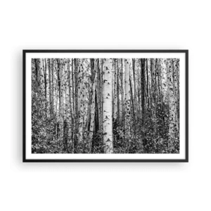 Affisch i svart ram - Björkpelargång - 91x61 cm