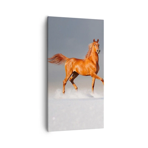 Canvastavla - Bild på duk - Dansande grace - 55x100 cm