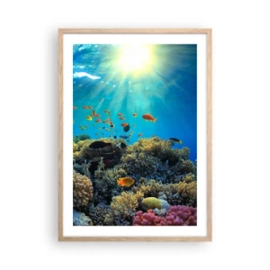 Affisch i ram av ljusek - Undervatenskatter - 50x70 cm