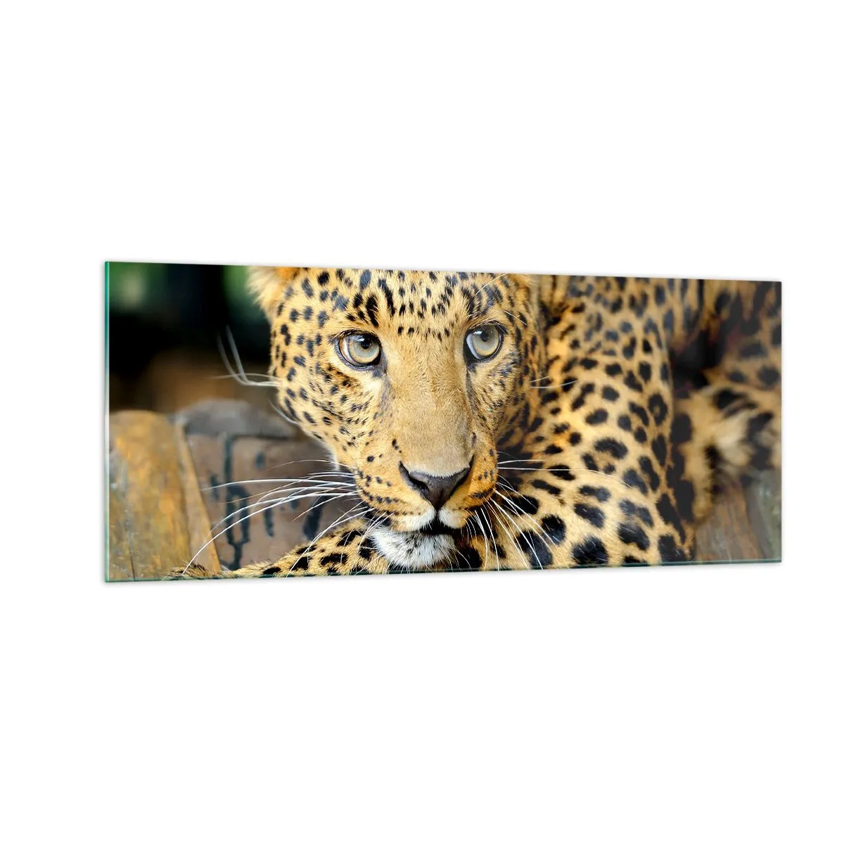 Glastavla - Bild på glas - Var inte rädd, kom fram - 100x40 cm