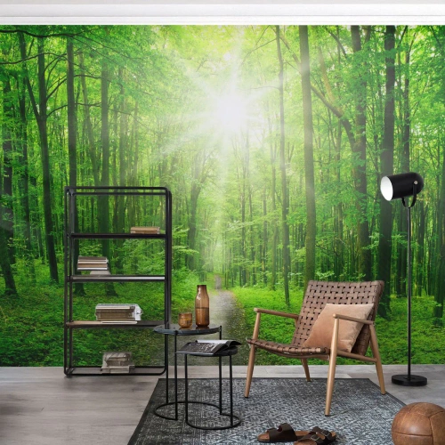 Fototapet Premium Canvas - Grön domkyrka - Landskap, Skog, Solens strålar - 300x210 cm