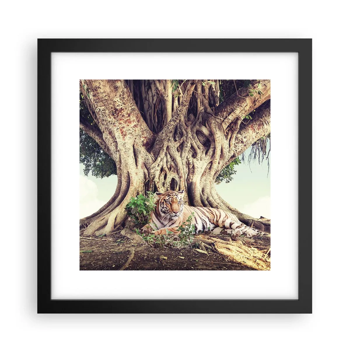 Affisch i svart ram - Vi från Första Moseboken - 30x30 cm