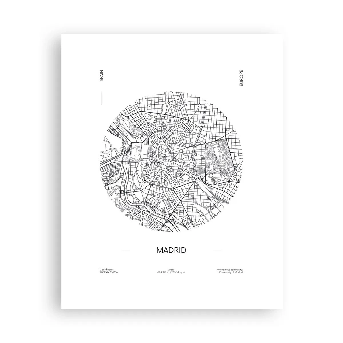 Affisch - Madrids anatomi - 40x50 cm