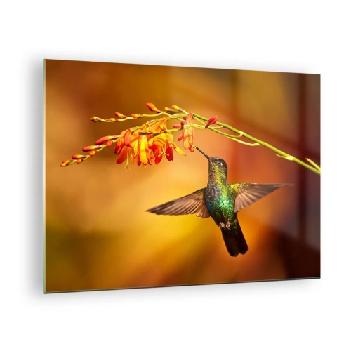 Glastavla - Bild på glas - Kolibri vid blommor i ett gyllene sken - 70x50cm - Ljusbud enligt Mayafolket - Modern väggdekoration för vardagsrum och sovrum ARTTOR