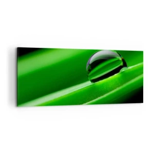 Canvastavla - Bild på duk - Livet på nära håll - 100x40 cm