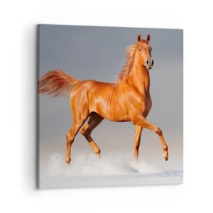 Canvastavla - Bild på duk - Dansande grace - 50x50 cm