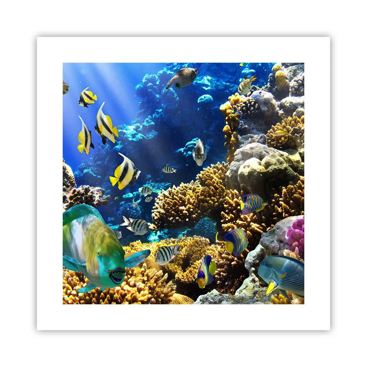 Affisch - Hög trafik på sommarleden - 40x40 cm