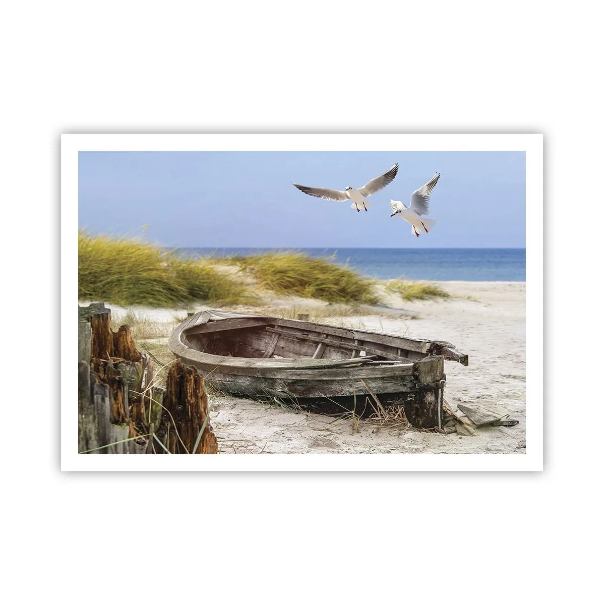 Affisch - Doppade i vinden - 100x70 cm