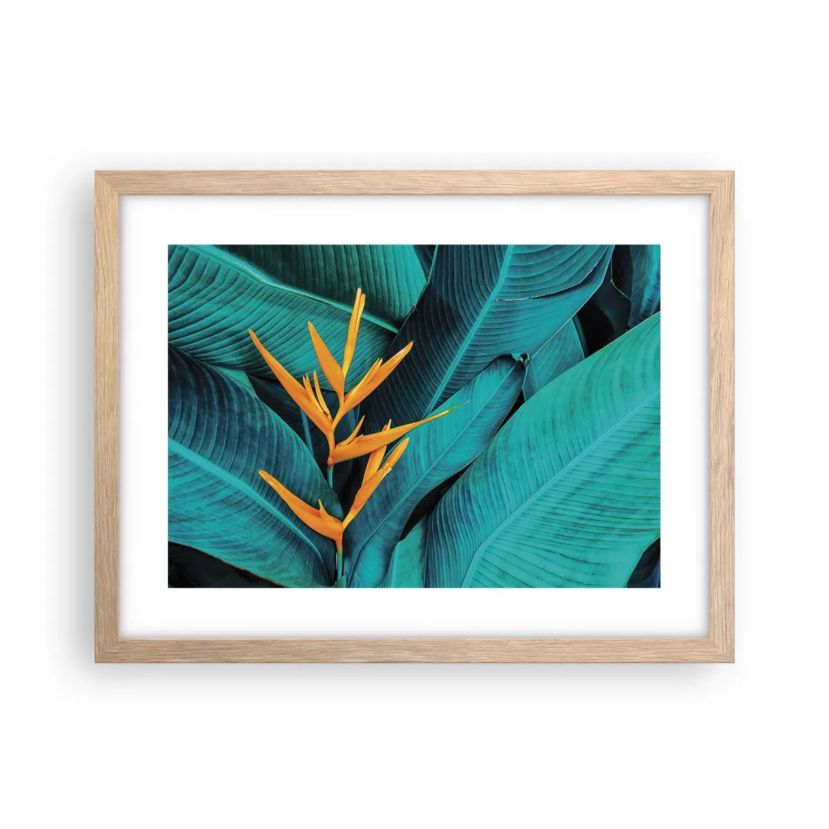 Affisch i ram av ljusek - Edens blomma - 40x30 cm