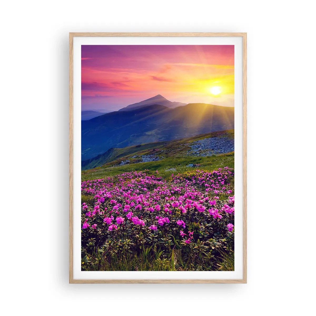 Affisch i ram av ljusek - … Bergtallen doftar och örterna luktar runt omkring - 70x100 cm