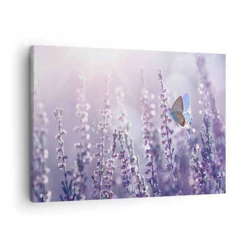 Canvastavla - Bild på duk - En fjäril på blommande lavendel i morgonljuset - 70x50cm - En fjärils kyss - Modern väggdekoration för vardagsrum och sovrum ARTTOR