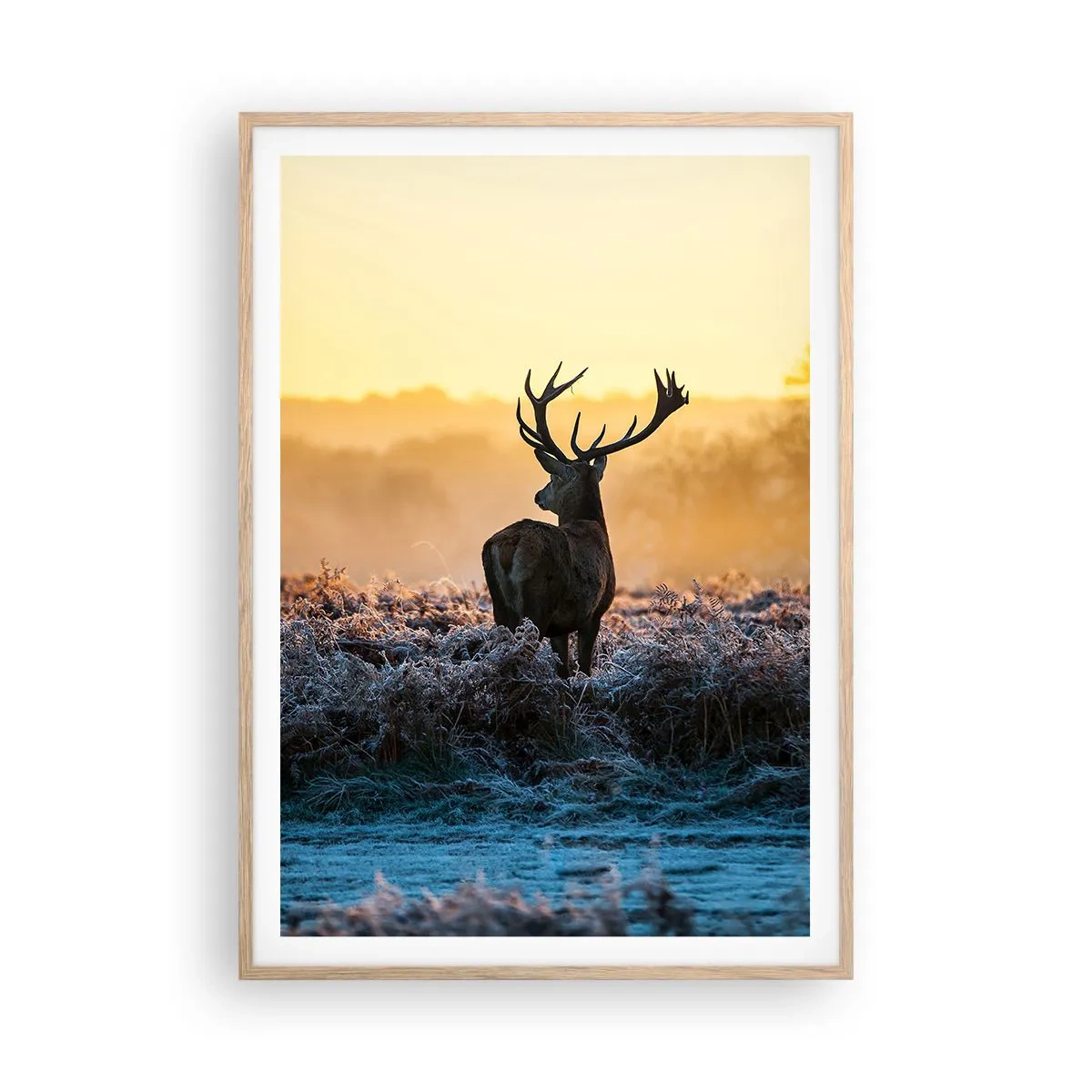 Affisch i ram av ljusek - Krönt på sin mark - 70x100 cm