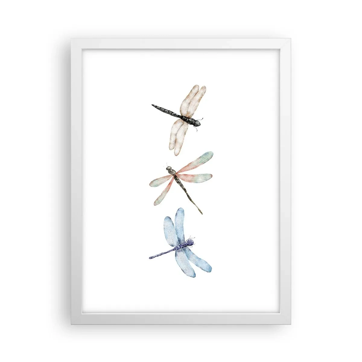 Affisch i vit ram - Viktlösa trollsländor - 30x40 cm