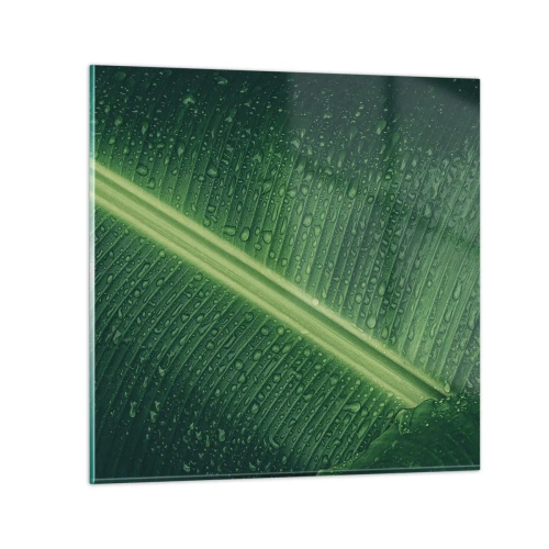 Glastavla - Bild på glas - Grönskans struktur - 50x50 cm