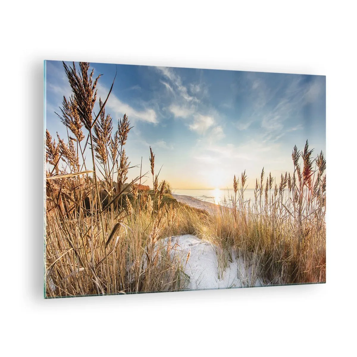 Glastavla - Bild på glas - Solnedgång över en strand med gräsbevuxna sanddyner - 70x50cm - Nordlig strand - Modern väggdekoration för vardagsrum och sovrum ARTTOR