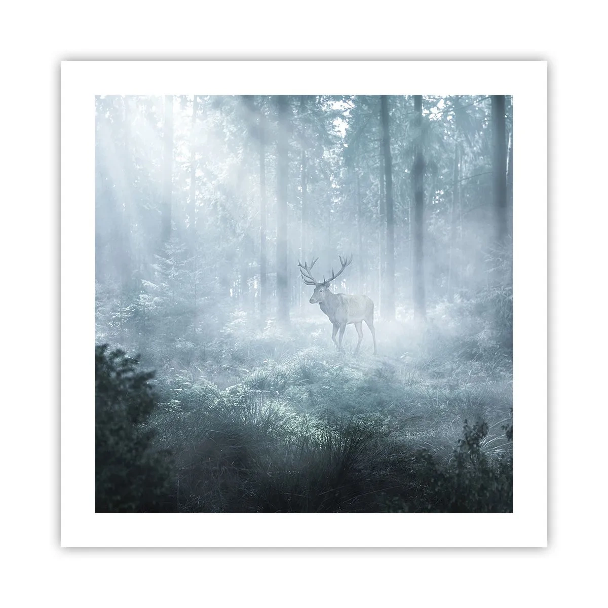 Affisch - Morgonrond runt godset - 50x50 cm