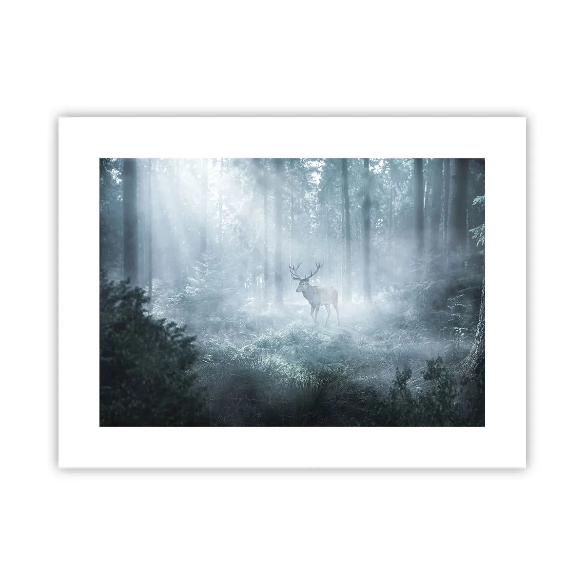 Affisch - Morgonrond runt godset - 40x30 cm