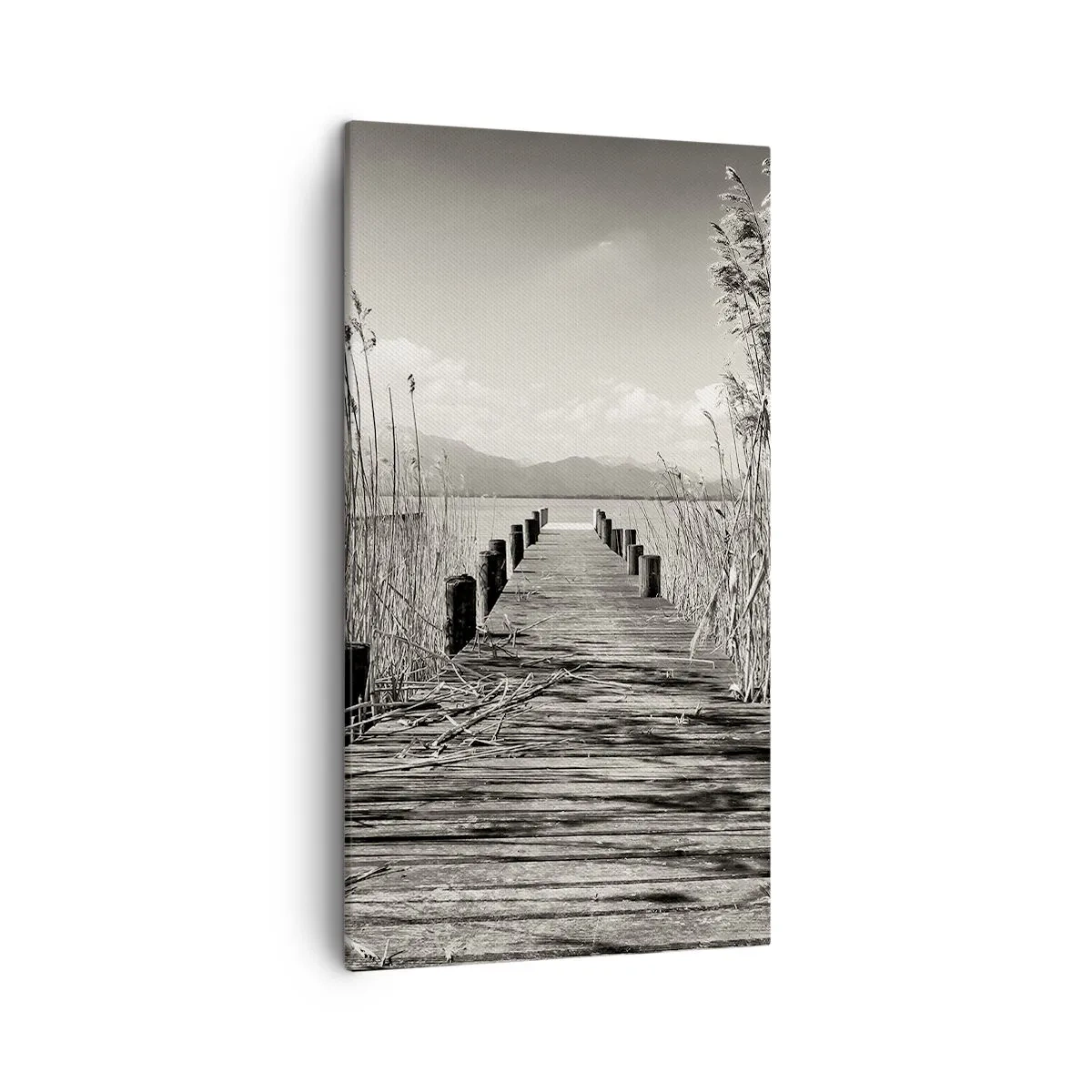 Canvastavla - Bild på duk - I gräsets fristad - 45x80 cm